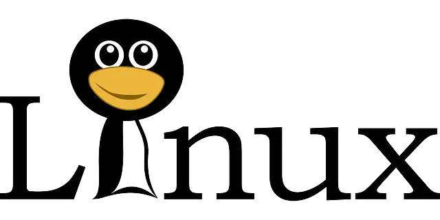 ZIP y RAR en Linux